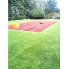 人造草坪，陜西運動場草坪銷售