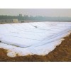 云南紅河1200g復(fù)合土工膜廠家