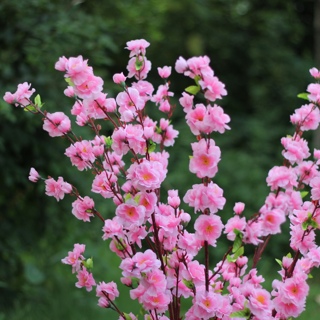 工廠批發(fā) 仿真桃花 滿洲里市 可發(fā)貨