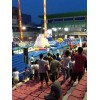 十一充氣兒童城堡大型迪斯尼樂園價(jià)格東莞充氣水上獨(dú)木橋