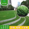 晟林草坪 廠家直銷 價(jià)廉物美 優(yōu)質(zhì)人造草坪 休閑塑料人造草坪