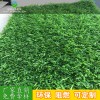 園林綠化草坪 小區(qū)景觀裝飾草坪 仿真草坪草皮 室內(nèi)外綠化草坪
