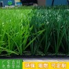 學(xué)校足球場(chǎng)運(yùn)動(dòng)草坪 優(yōu)質(zhì)環(huán)保人工草坪 人造假草坪